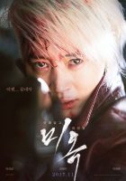 [18+] A Special Lady (2017)
