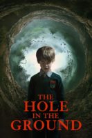 The Hole in the Ground(2019)